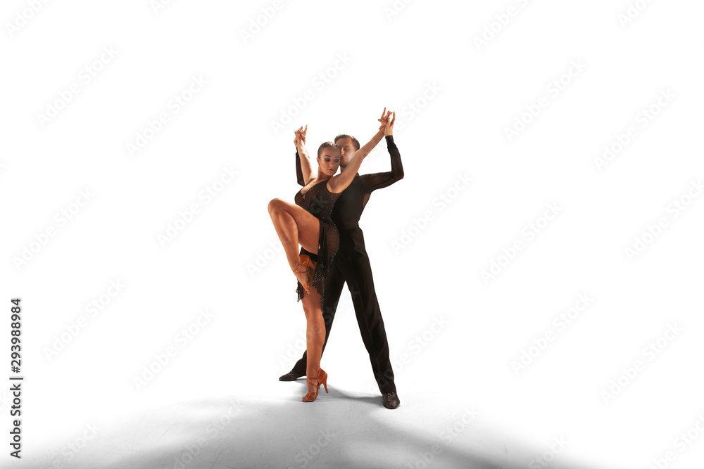 Obraz premium Ballroom dancing isolated on white.