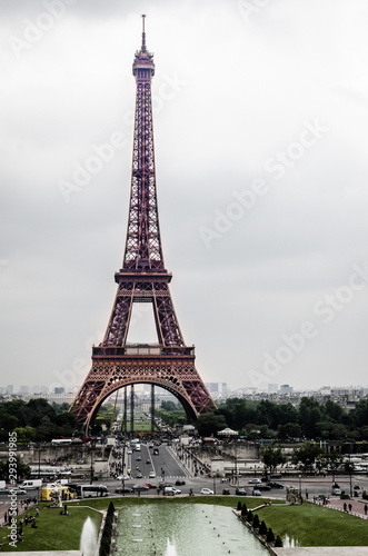 Fototapeta Naklejka Na Ścianę i Meble -  Panoramic view of Eiffel Tower from Champ of Mars, Paris, France