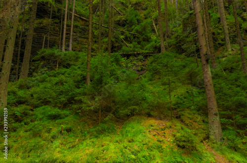 Valley Kyjov (Kyjovské údolí) - Bohemian Switzerland National Park