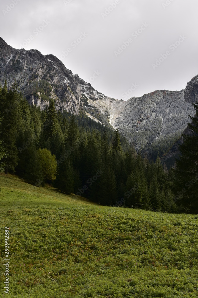 Obraz premium Dolina Koscieliska Tatry jesiennie TPN