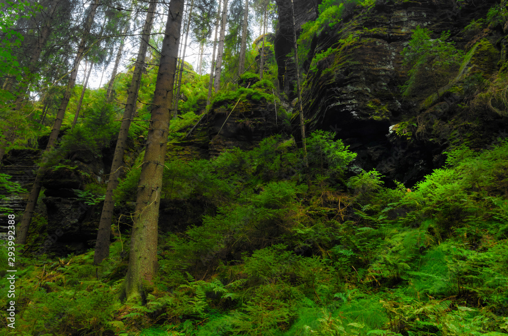 Valley Kyjov (Kyjovské údolí) - Bohemian Switzerland National Park Valley Kyjov (Kyjovské údolí) - Bohemian Switzerland National Park
