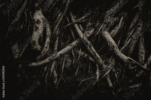 Many dark roots with grain film, Dark horror halloween themes.