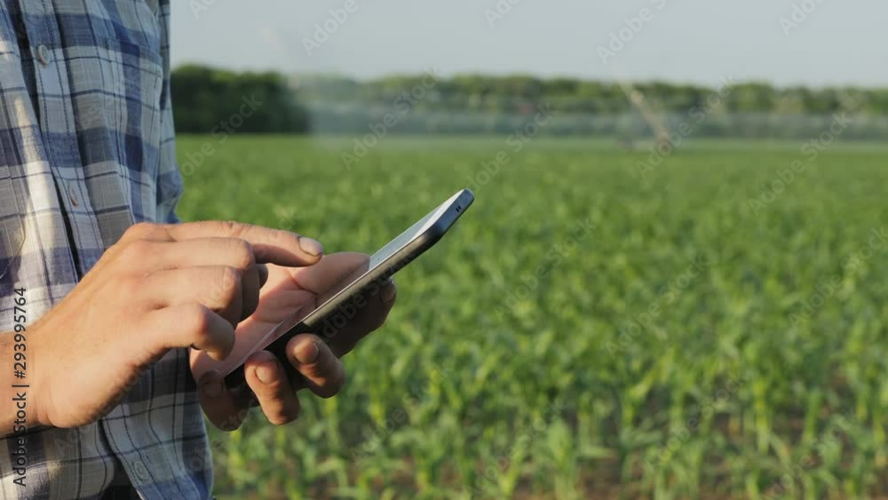 Close-up hands: Farmer uses a mobile app in the smartphone in the field against the background of a working irrigation system in the distance, soft focus