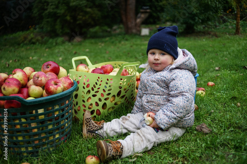 Tiny baby girl in countryhouse outfit sits  on grass and holds bag full of red apples. The weather is cold wet and rainy