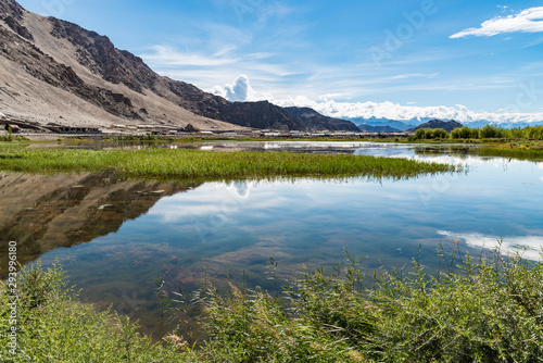 Transparent water and green plants that float on the surface of the water with mountain and blue sky background.