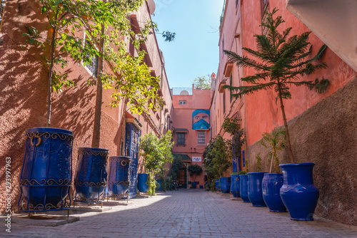 picturesque street in Marrakesh city with plants in blue vases and painted cobbles © Oleksandr