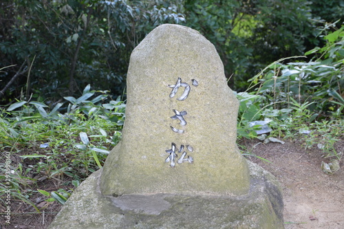 天橋立