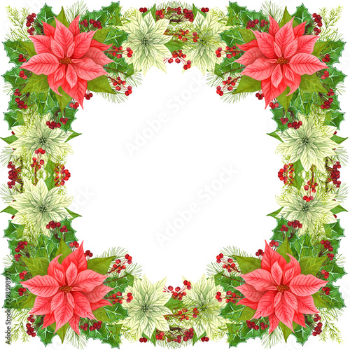Christmas frame decoration Christmas star and winter plants: holly leaves, dried twig with red berries and fir branch isolated on white background. Watercolor Christmas wreath of poinsettia flowers.