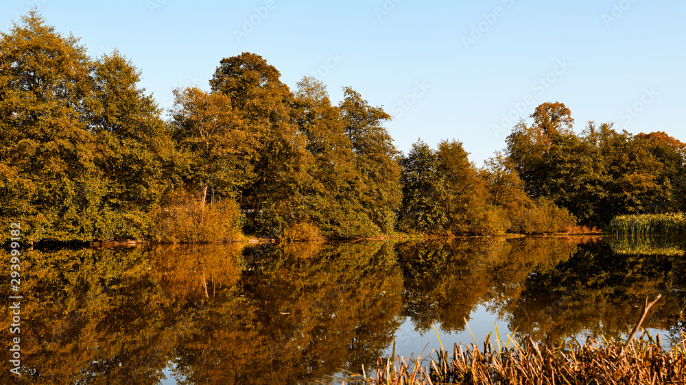 Autumn landscape. Trees orange color. Lake.