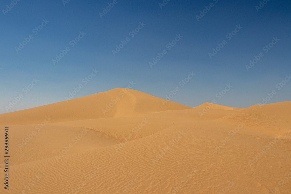 sand dunes in the sahara desert sand dunes in the sahara desert