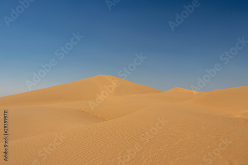 sand dunes in the sahara desert