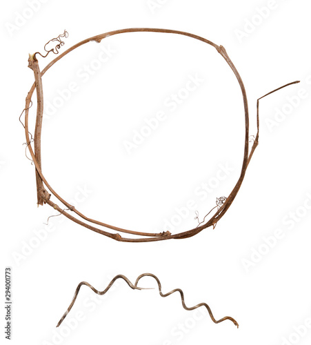 Circle frame and swirl from dry grape branches isolated on white background