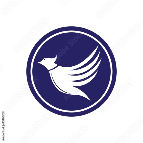 Fototapeta Naklejka Na Ścianę i Meble -  eagle bird logo vector