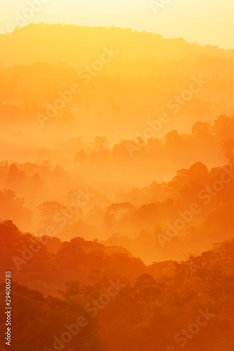 Bright autumn mountain in the morning mist.