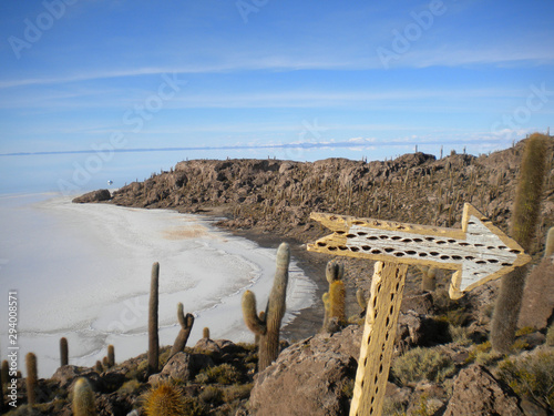 Isla del Pescado, Salar de Uyuni, Bolivia Island of the Fish