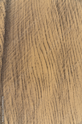 Wallpaper Mural Interesting textured patterns formed in the low tide zone of fine sand in two colors: ordinary golden and black lava Torontodigital.ca