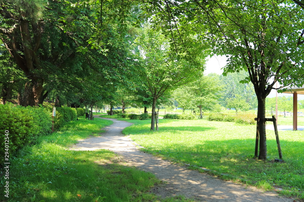 公園 公園