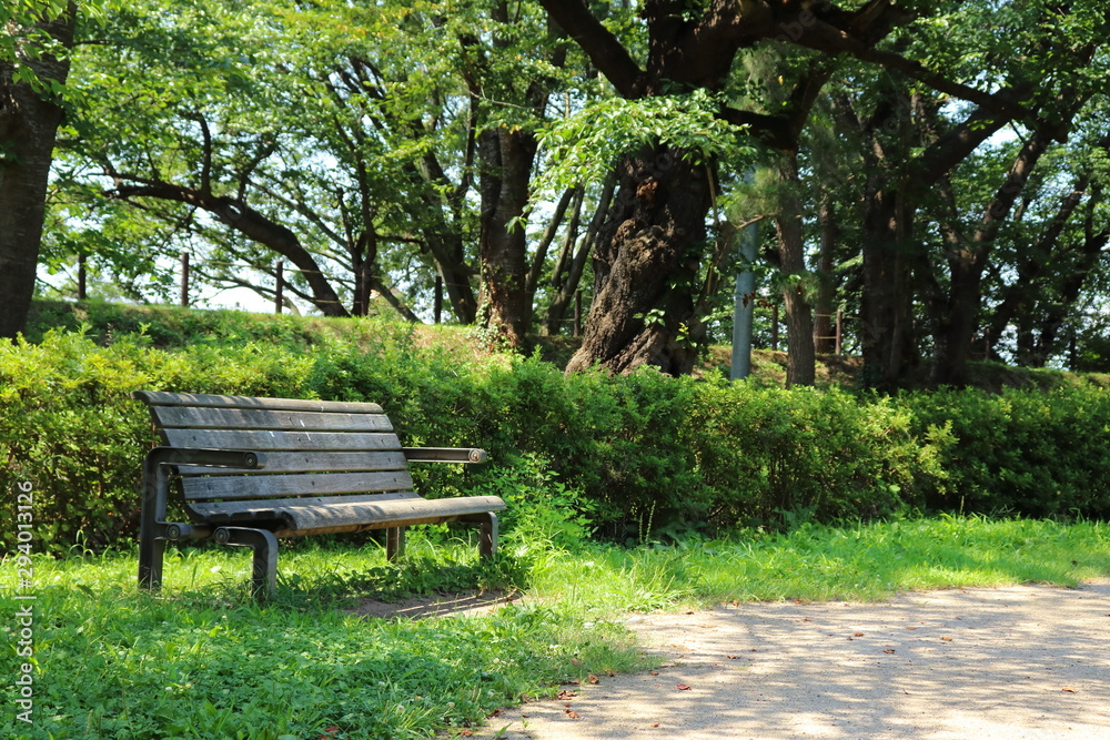 公園 公園