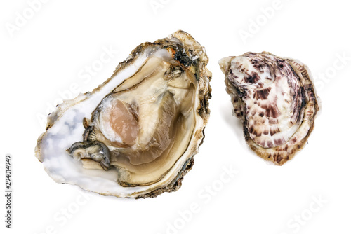 delicious fresh oyster on white