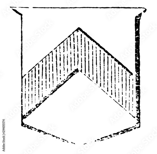 Shield Showing Chevron is half the breadth of the chevron, vintage engraving.