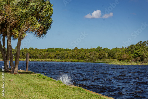 Wallpaper Mural water splash Torontodigital.ca