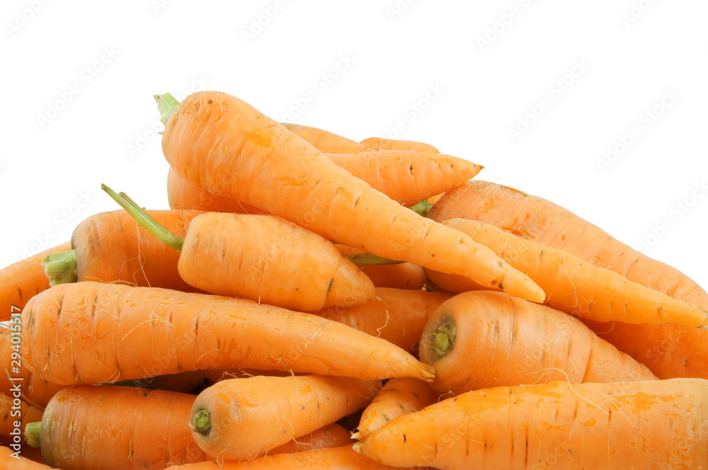 Carrot isolated on white with room for text Carrot isolated on white with room for text