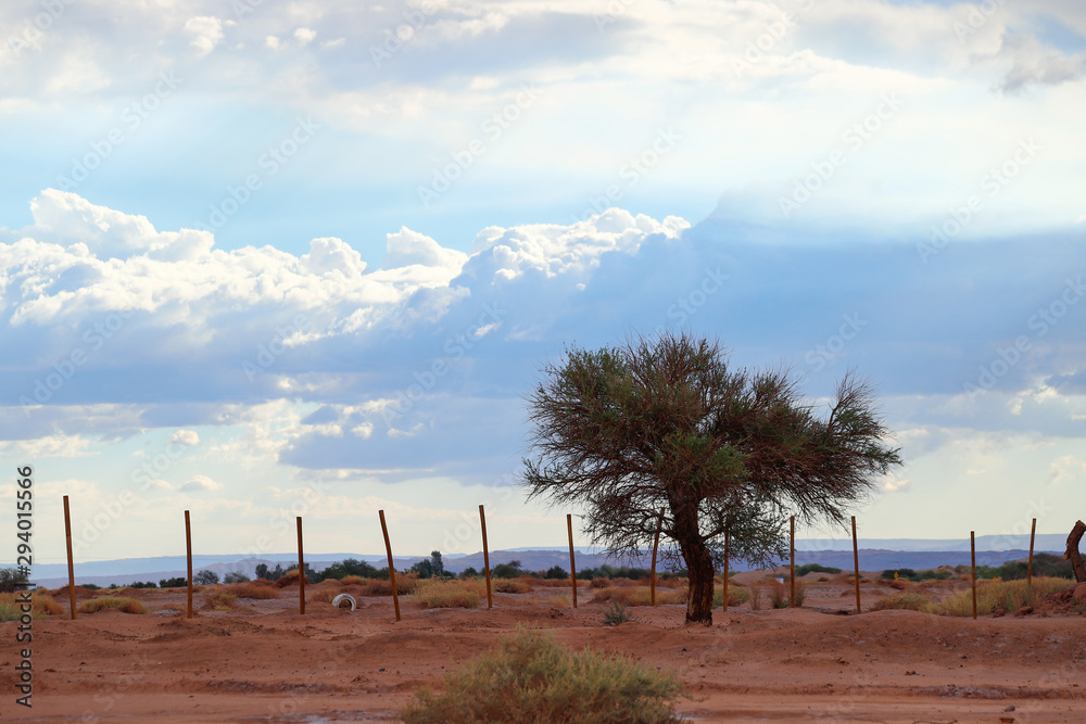 Views of the arid landscape of the Atacama desert, Chile