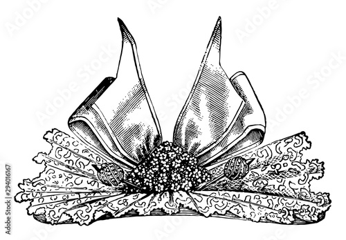 Ribbon Hat, vintage engraving.