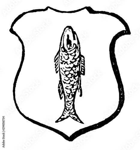 Haurient have a fish in a perpendicular direction, vintage engraving.