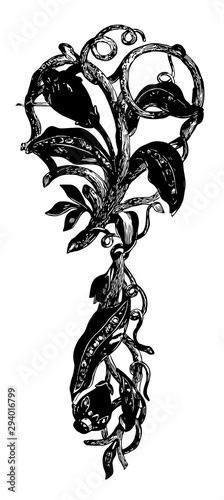Brooch, floral design, vintage engraving.