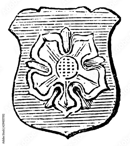 Rose Barbed is also applied to roses, vintage engraving.
