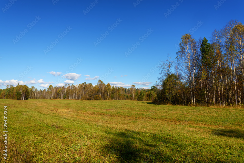 Sunny glade in autumn, trees and sky with clouds