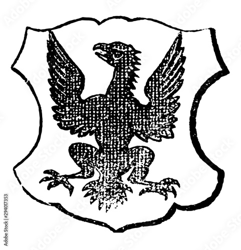 Eagle Displayed is a bird whose wings are expanded, vintage engraving.