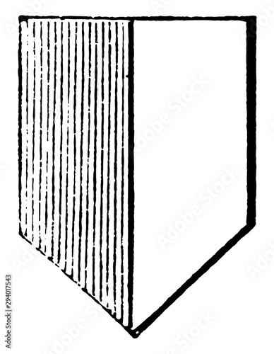 Party Per Pale has a shield parted by a perpendicular line down the centre, vintage engraving.