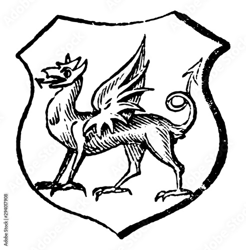 Dragon is a mixture of beast, vintage engraving.