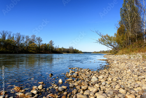 river view with Sunny day with trees on the shore