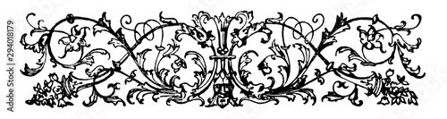 Banner have an ornate dividing picture, vintage engraving.