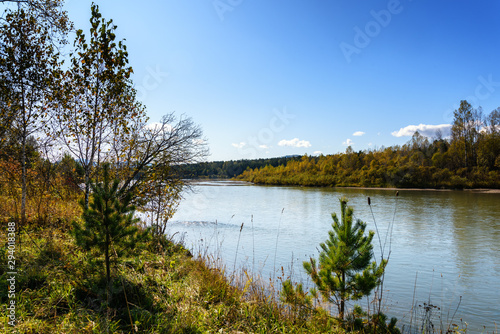 Fototapeta Naklejka Na Ścianę i Meble -  river view with Sunny day with trees on the shore