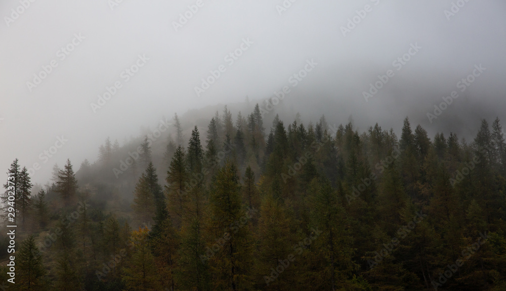 Early morning in Triglav National Park in Slovenia Early morning in Triglav National Park in Slovenia