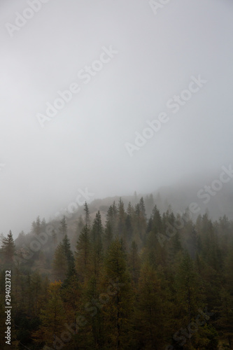 Early morning in Triglav National Park in Slovenia