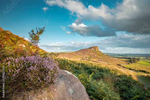 A Hen Cloud Ramble in Blossom Heather at Summer photo