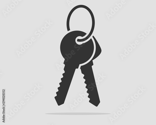 Key icon vector. Keys symbol flat design.