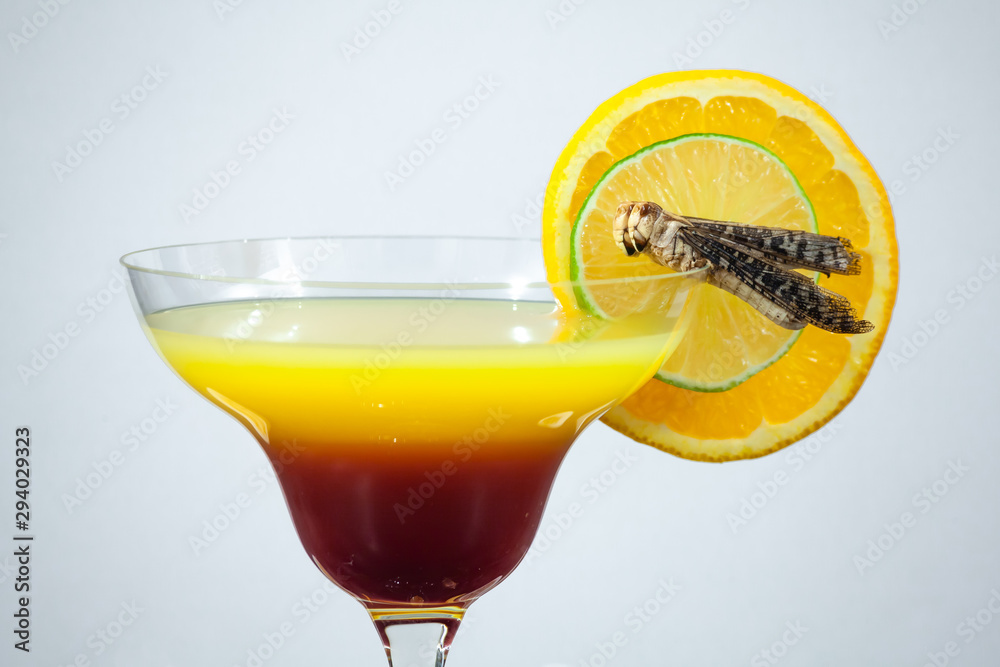 Drink decorated with ready to eat insect