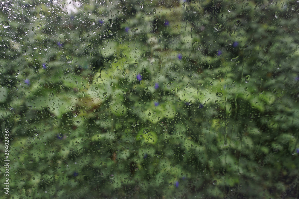 Looking through the window in a rainy day
