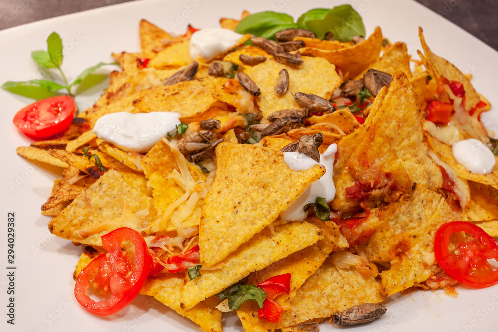 Insect nachos plate