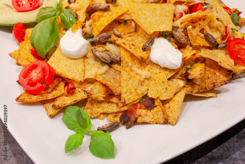 Insect nachos