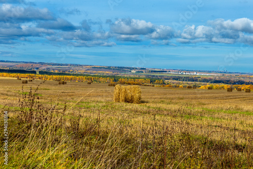 rural landscape in Chuvashia Golden autumn with a view of the city Novocheboksarsk, shot on a cloudy day photo