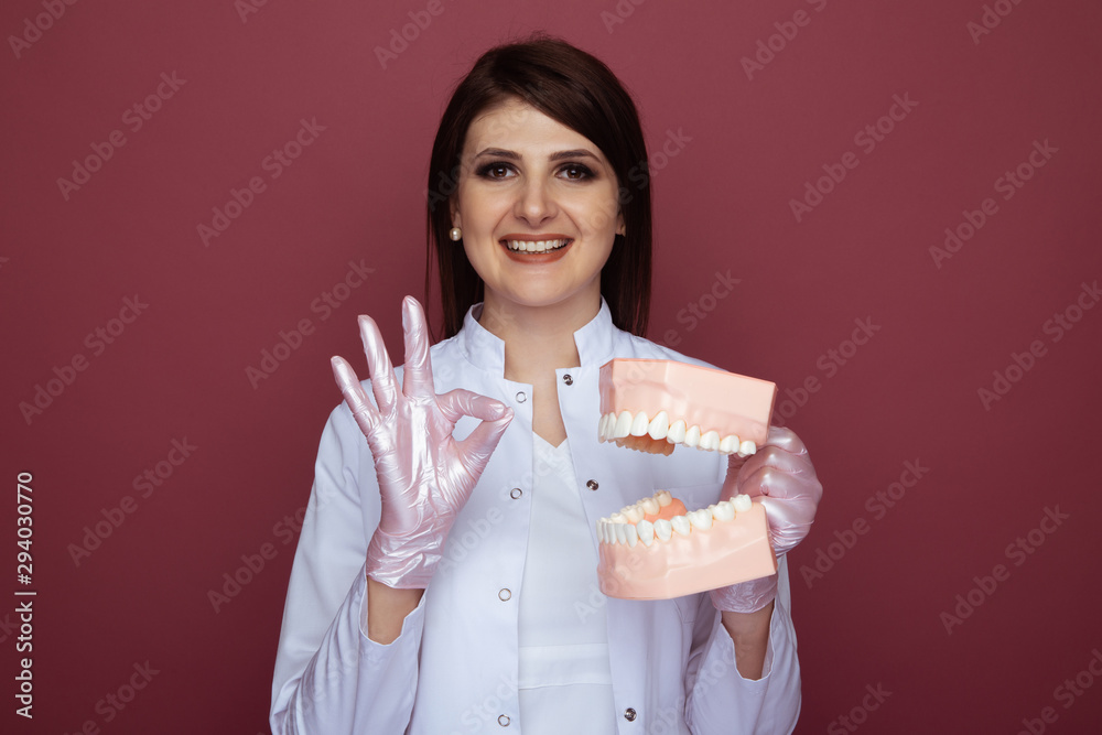 Professional woman dentist holding in hands jaw isolated in the pink studio Professional woman dentist holding in hands jaw isolated in the pink studio