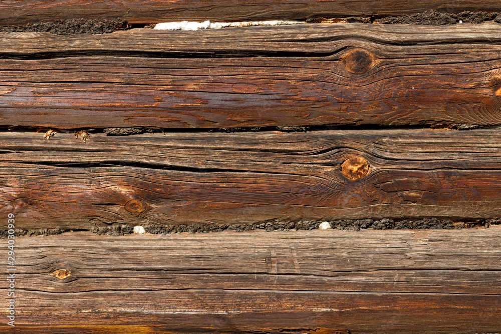 log surface shot on a Sunny autumn day log surface shot on a Sunny autumn day
