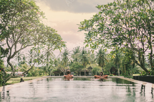 Infinity pool with a view on palm trees, Ubud, Bali